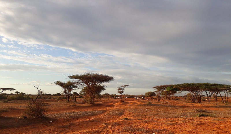 Парк Кисмайу в Сомали