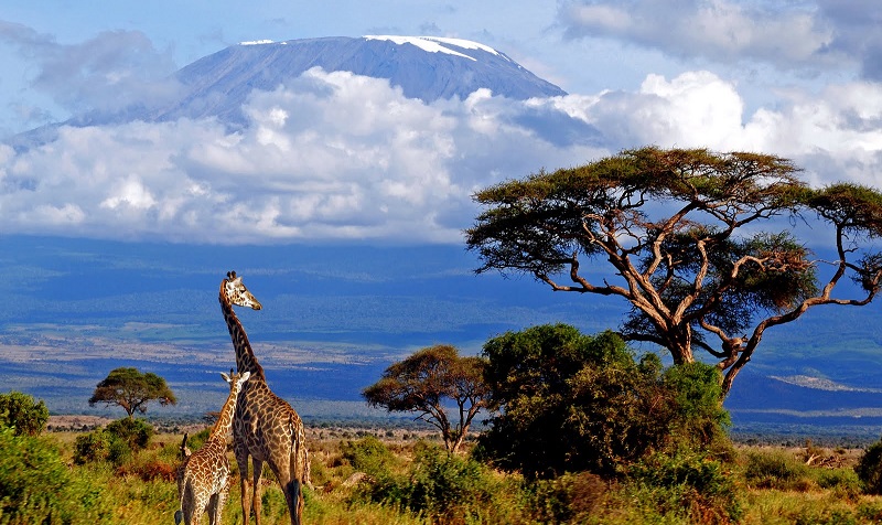 Килиманджаро в Танзании: история, география, интересные факты